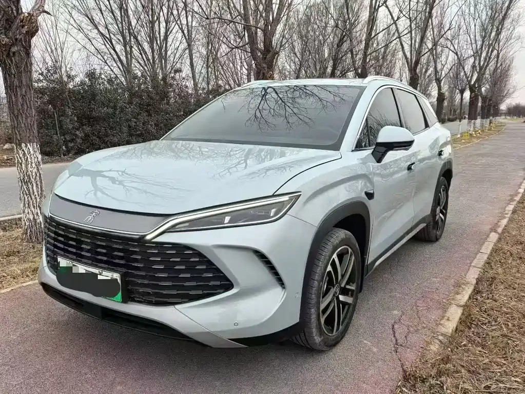 Byd L DM-i 2025