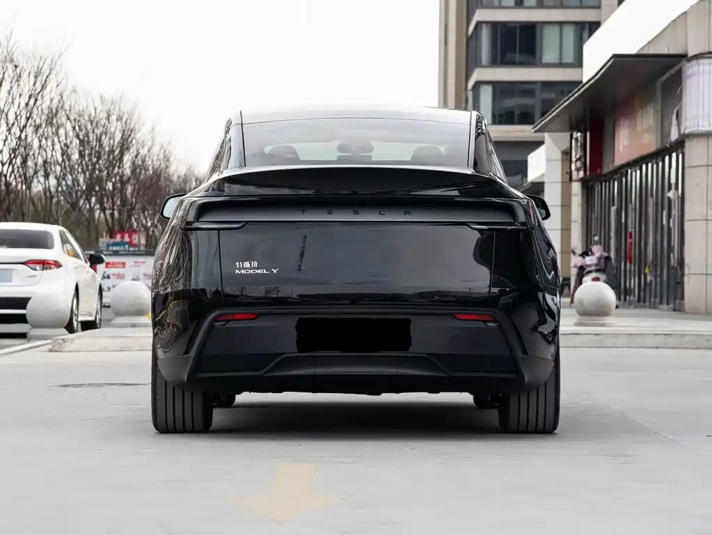 Tesla Model Y — миниатюра 3