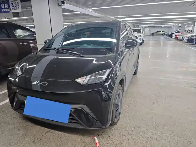2025 BYD Seagull