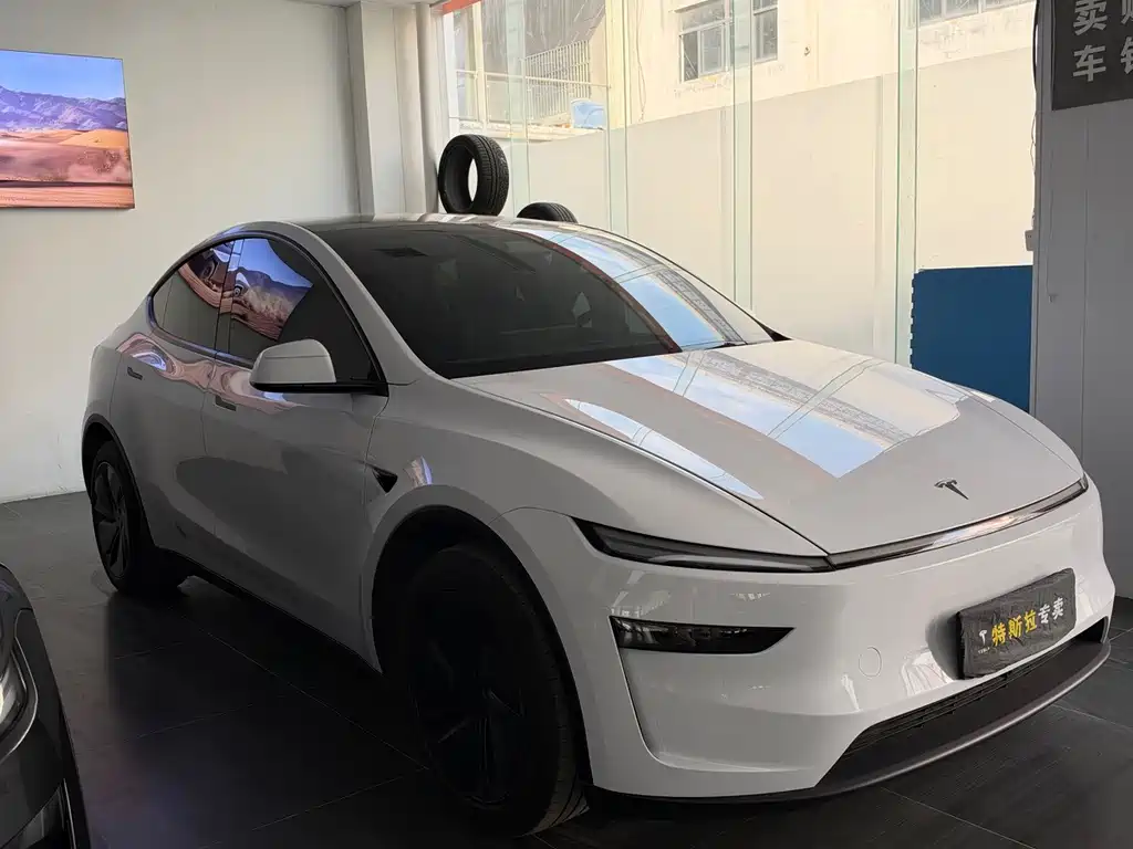 Tesla Model Y — миниатюра 3