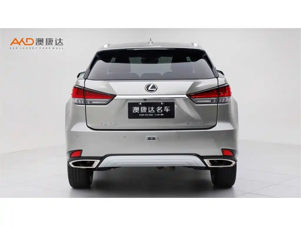 Lexus RX 2020 300 Elegant VI