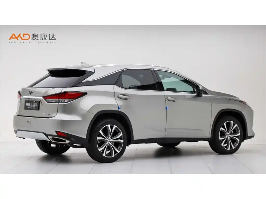 Lexus RX 2020 300 Elegant VI