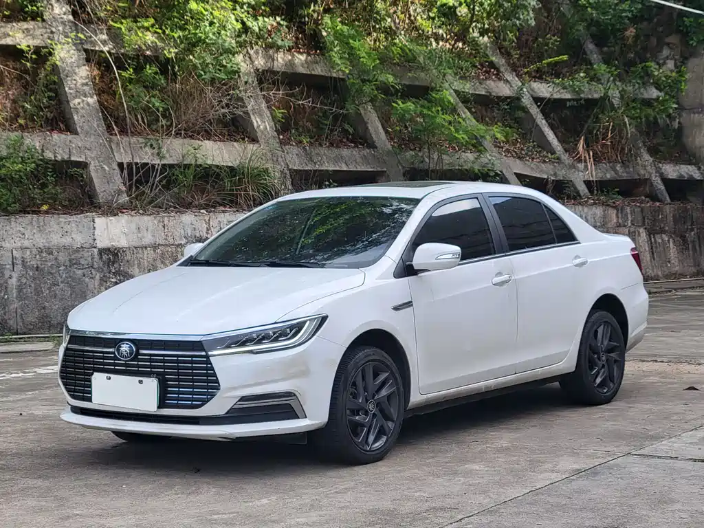 Byd Qin NEV 2020