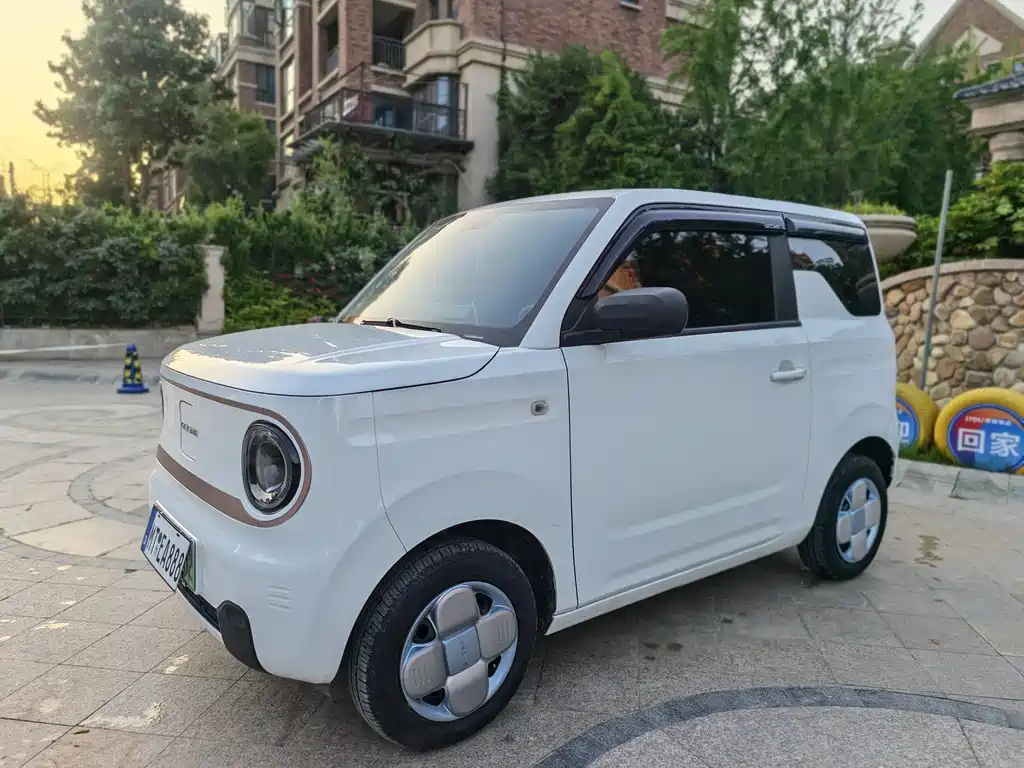 Galaxy Panda 2024