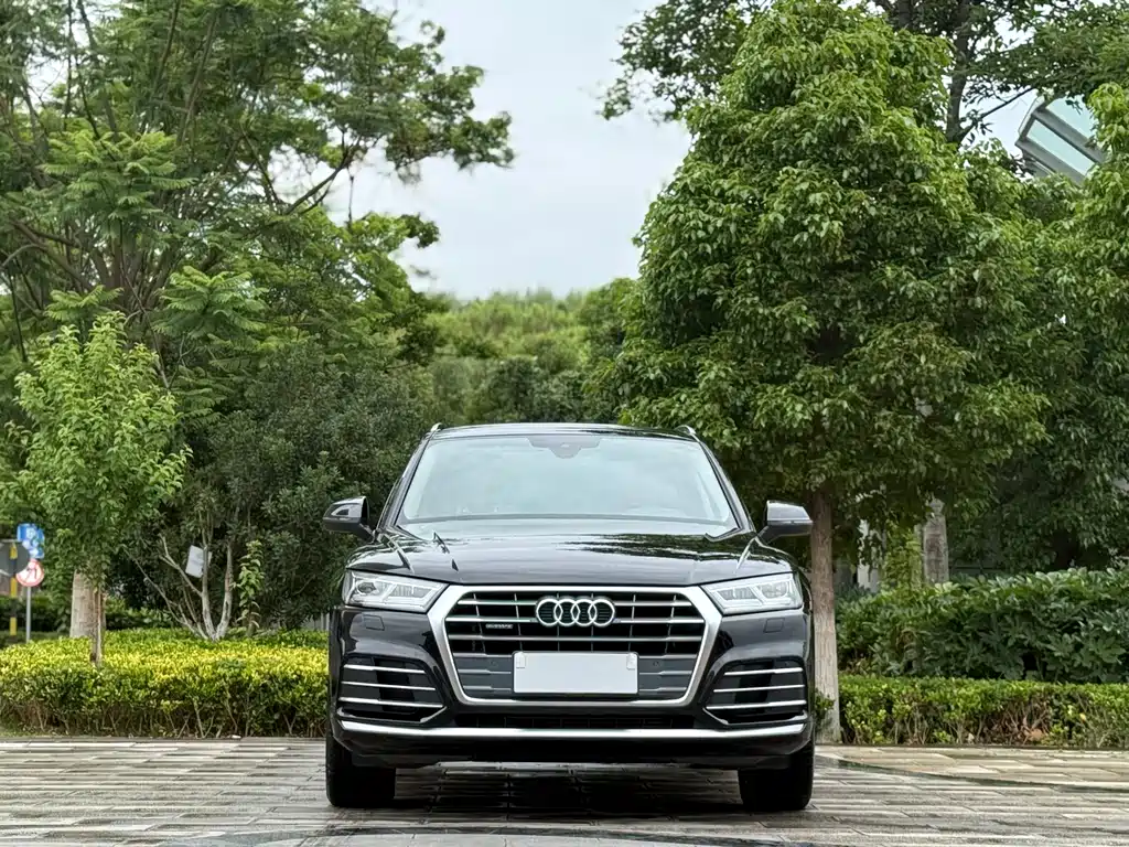 Audi Q5L 2020 40 TFSI Fashion