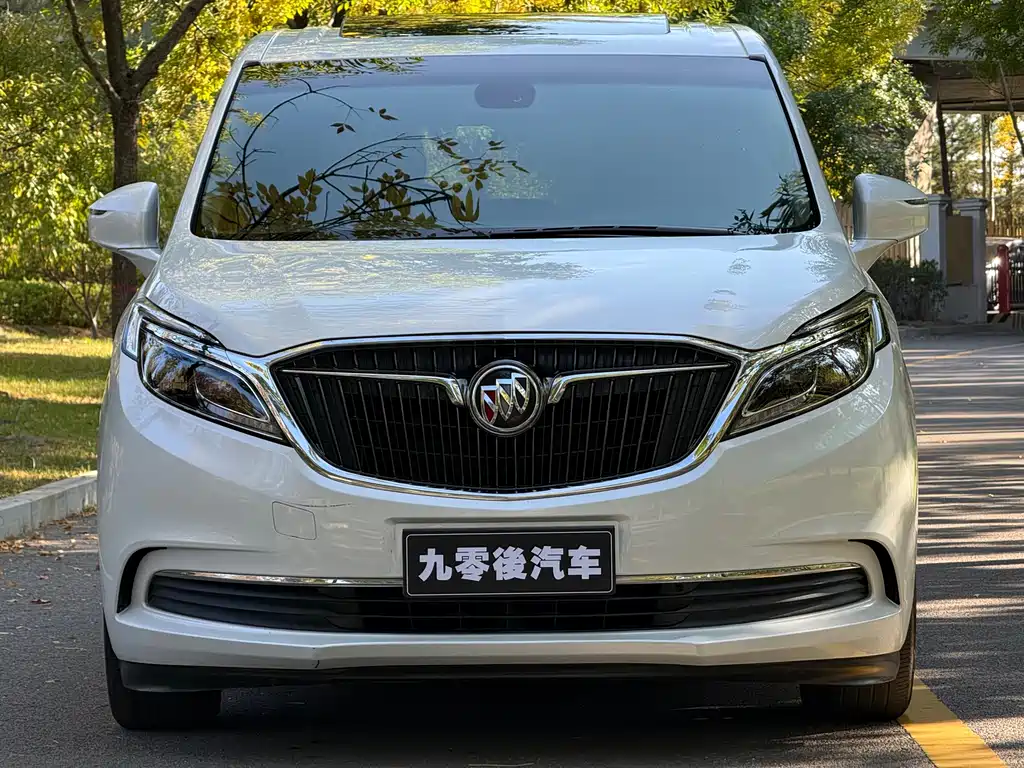 Buick GL8 — миниатюра 3