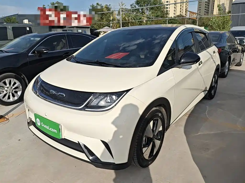BYD Dolphin — миниатюра 2