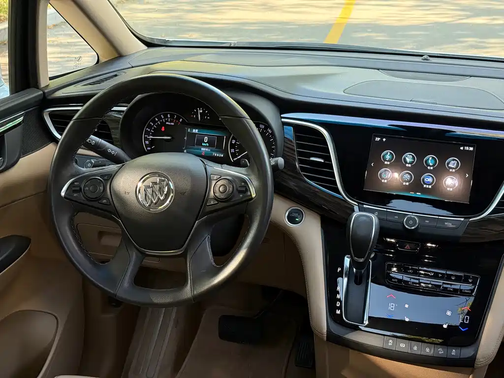 Buick GL8 — миниатюра 25