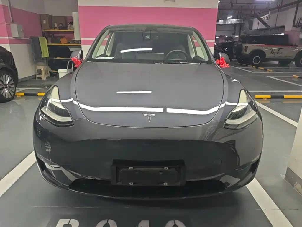 Tesla Model Y — миниатюра 3