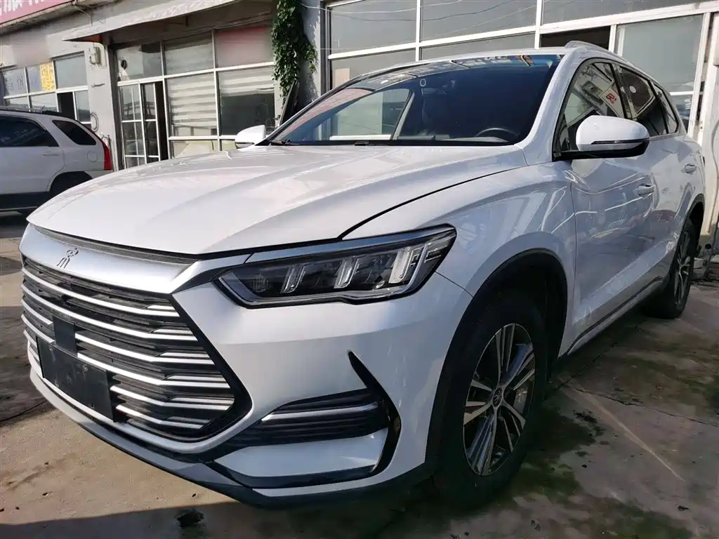 BYD Pro 2021