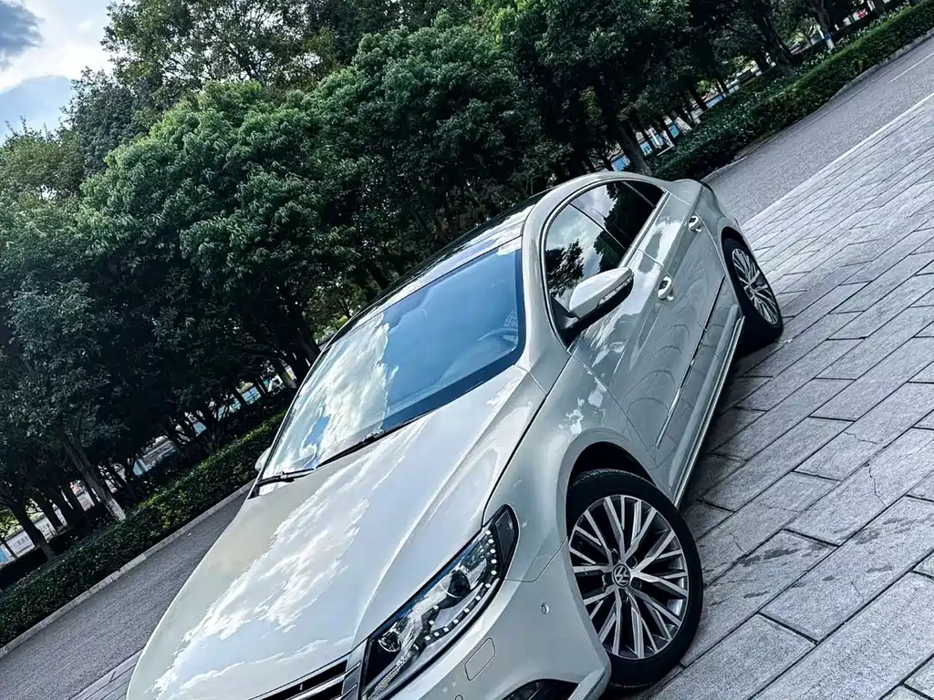 VOLKSWAGEN FAW  CC