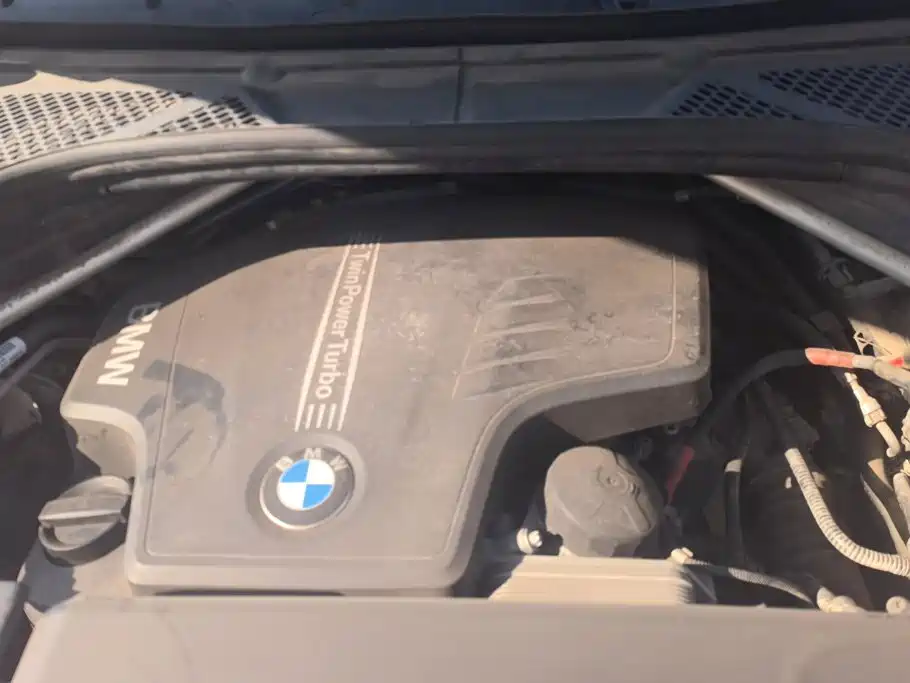 BMW X5 (Import) — миниатюра 10