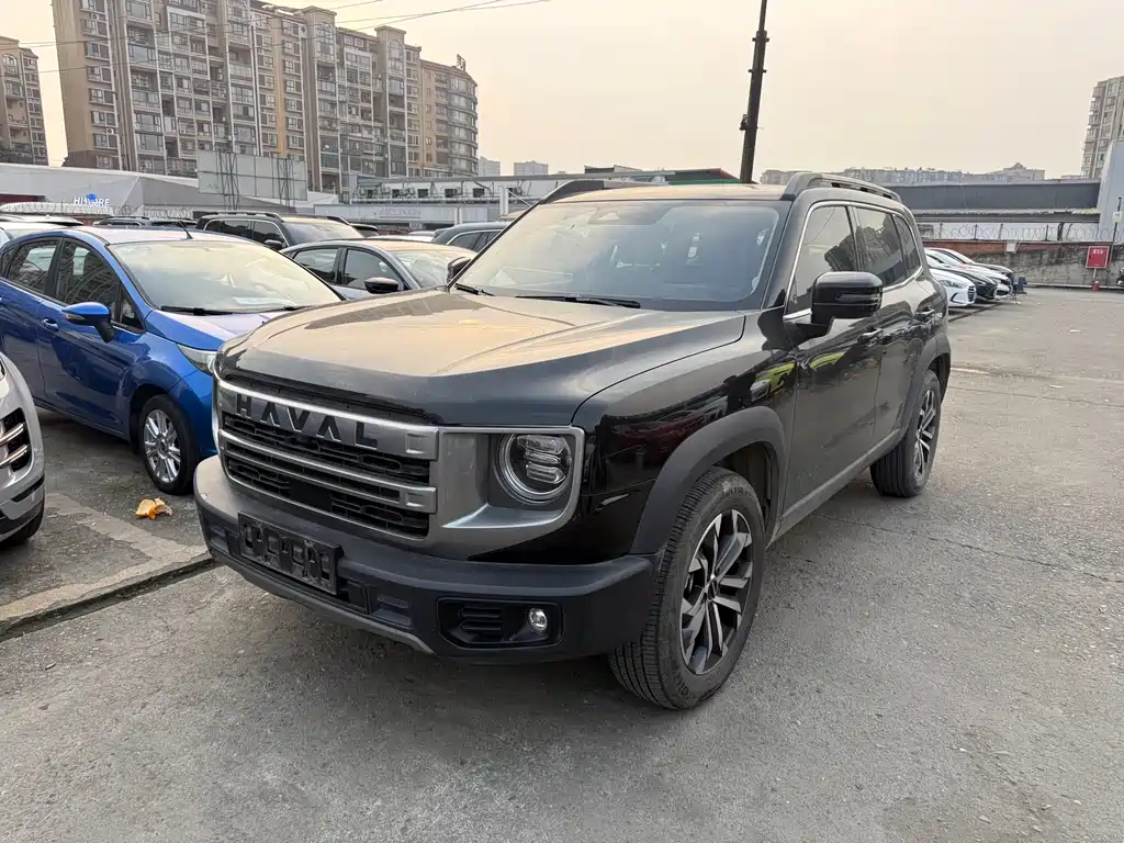 HAVAL BIG DOG