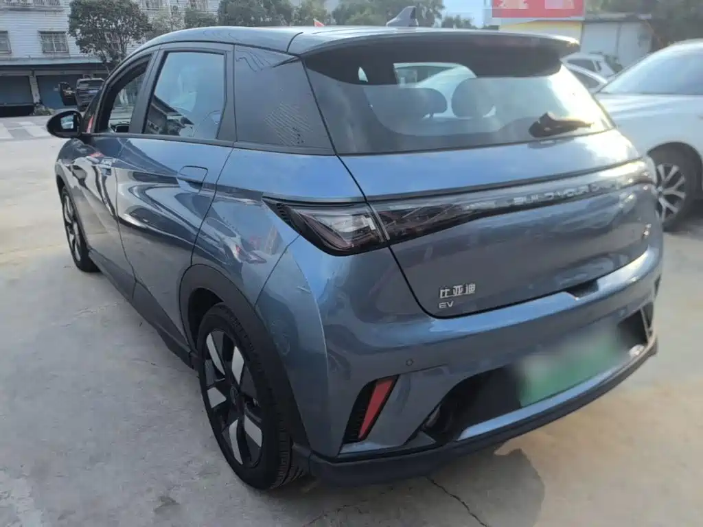 BYD Dolphin — миниатюра 5