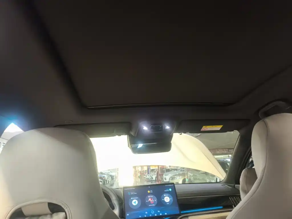 BYD PLUS New Energy — миниатюра 18