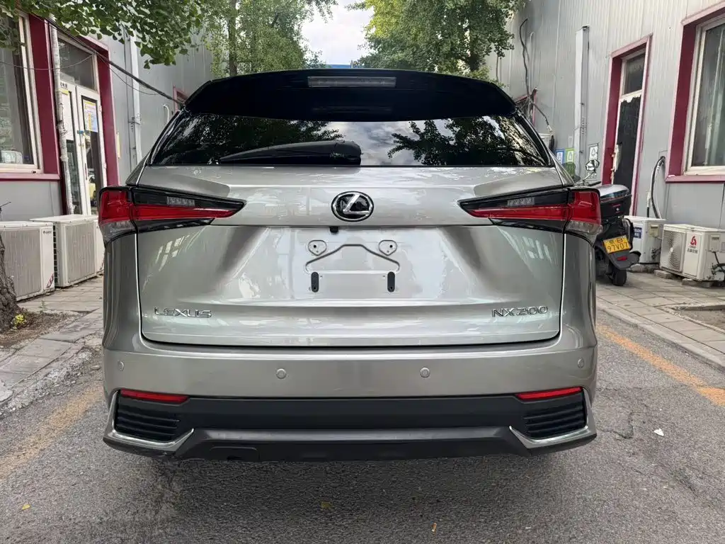 Lexus NX — миниатюра 8