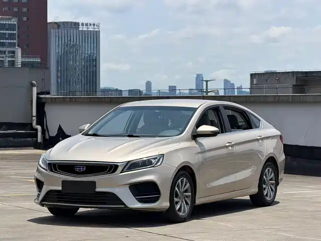 2019 Geely Binrui
