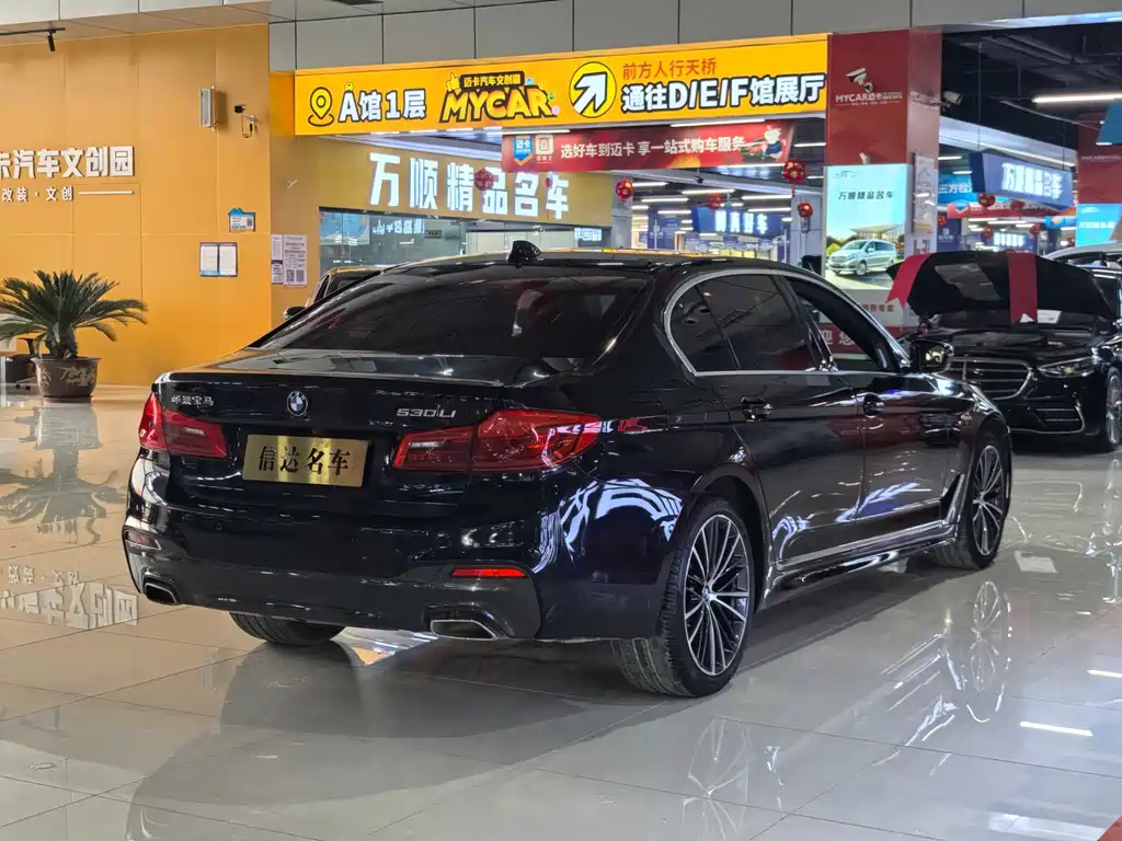 BMW 5 Series — миниатюра 19