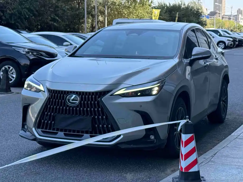 Lexus NX — миниатюра 3