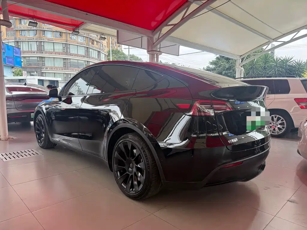 Tesla Model Y — миниатюра 10