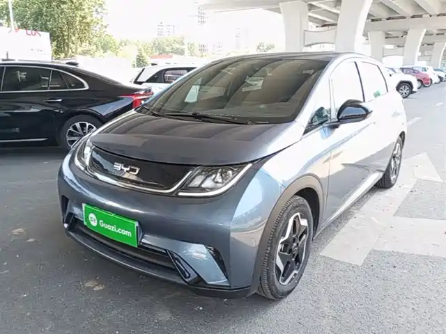 2025 BYD Dolphin
