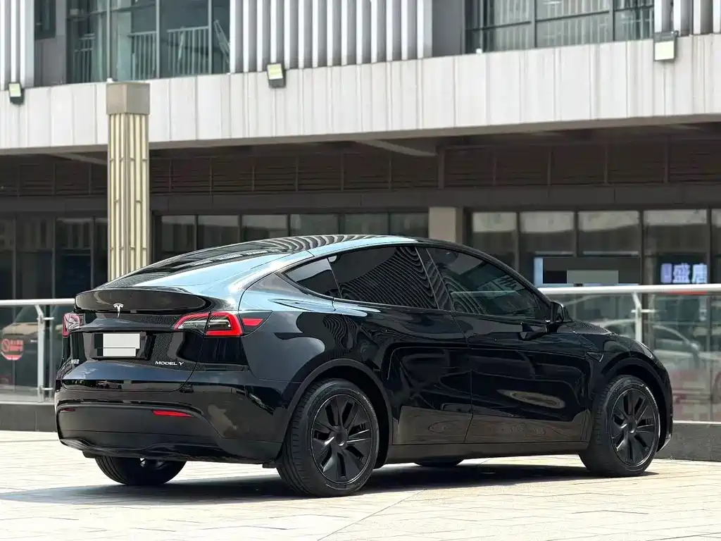 Tesla Model Y — миниатюра 4