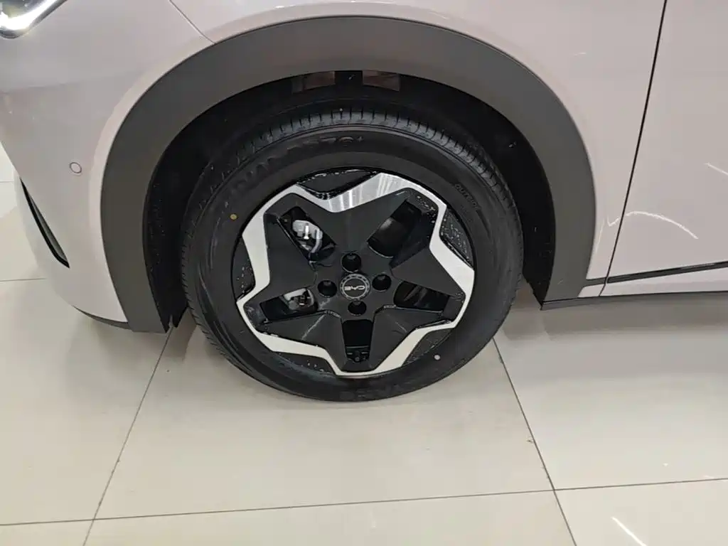 BYD Dolphin — миниатюра 23