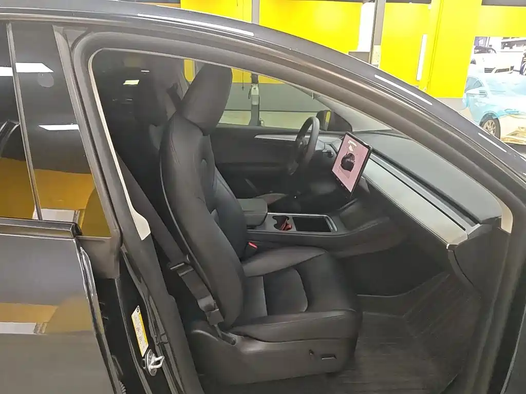 Tesla Model Y — миниатюра 5