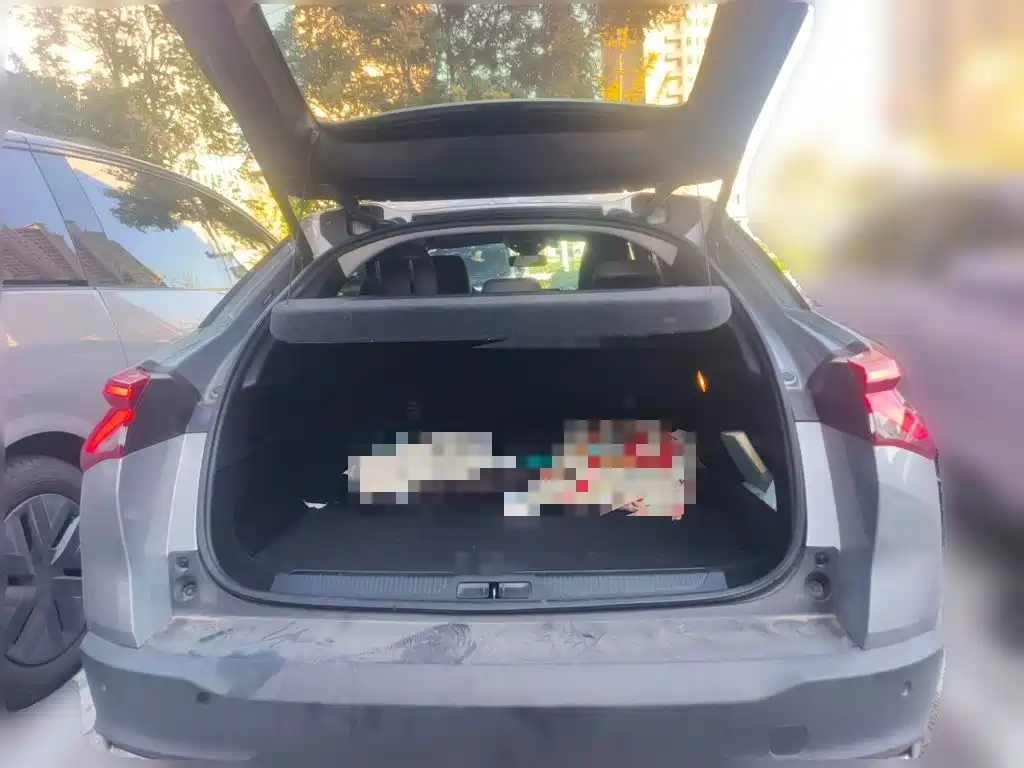Citroen C5 X — миниатюра 15