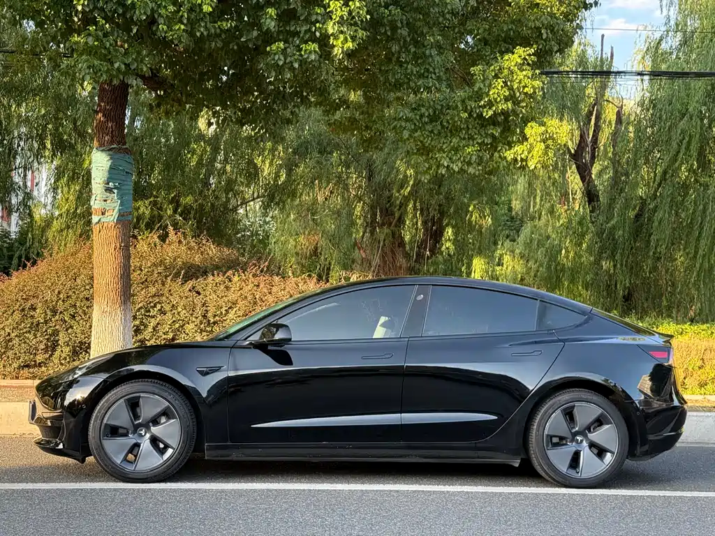 Tesla Model 3 — миниатюра 2