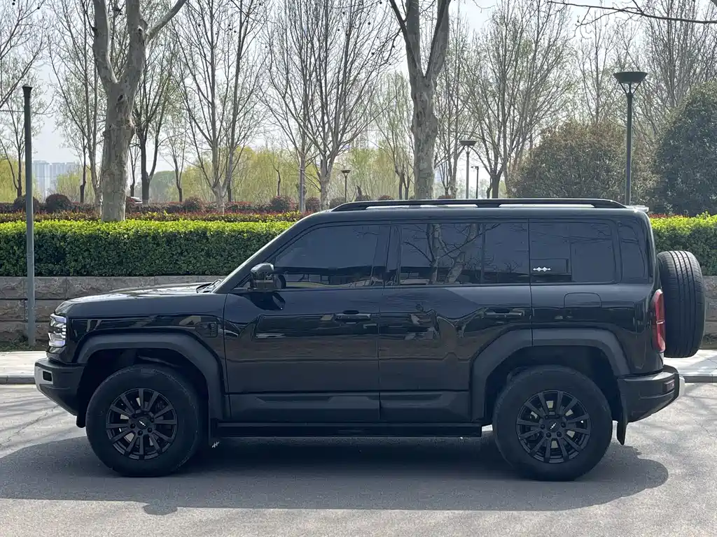 FANG CHENG BAO LEOPARD 5