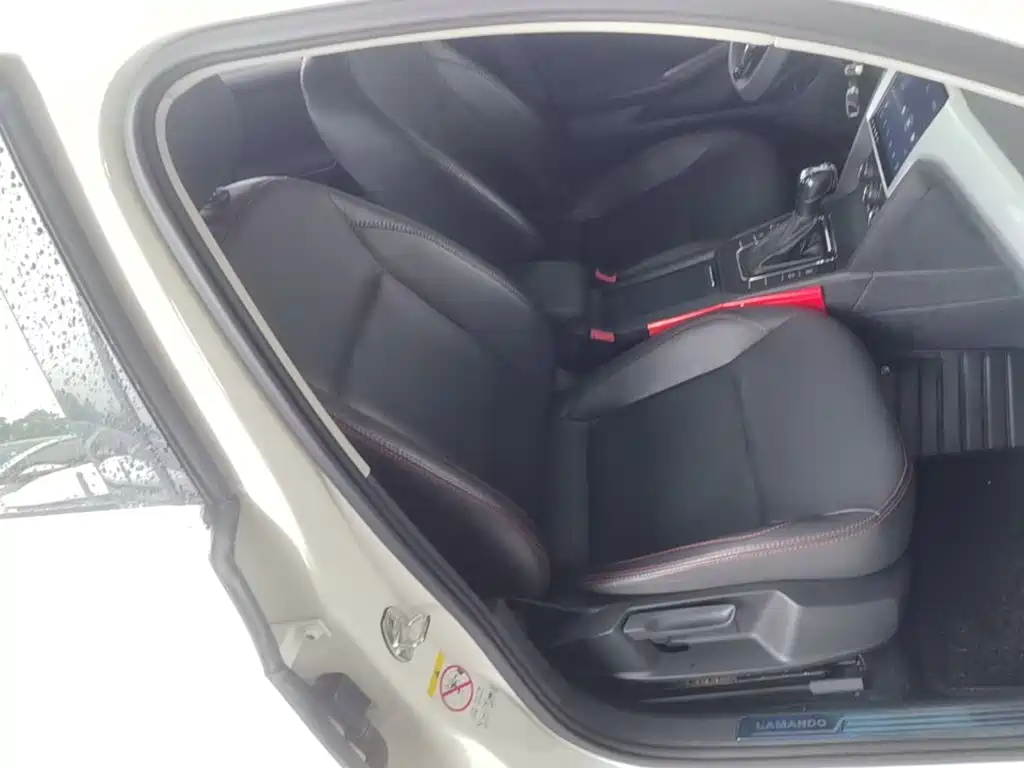 Volkswagen Lamando — миниатюра 25