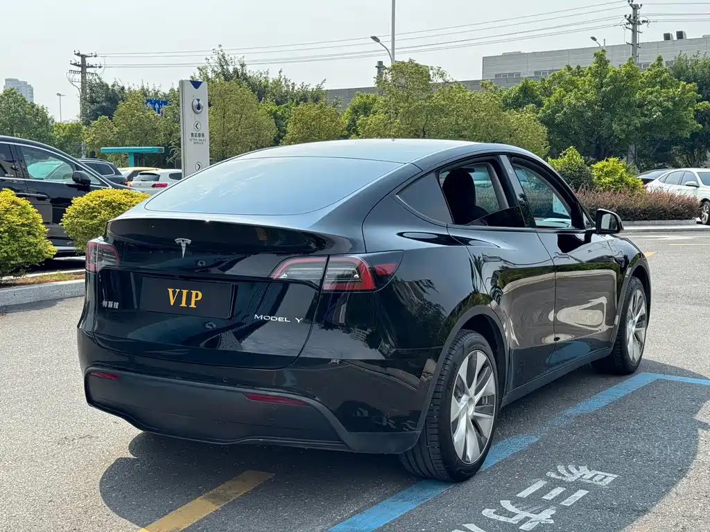 Tesla Model Y — миниатюра 6
