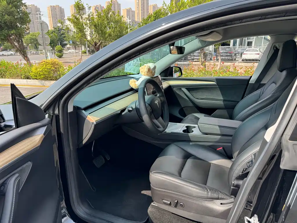 Tesla Model Y — миниатюра 10