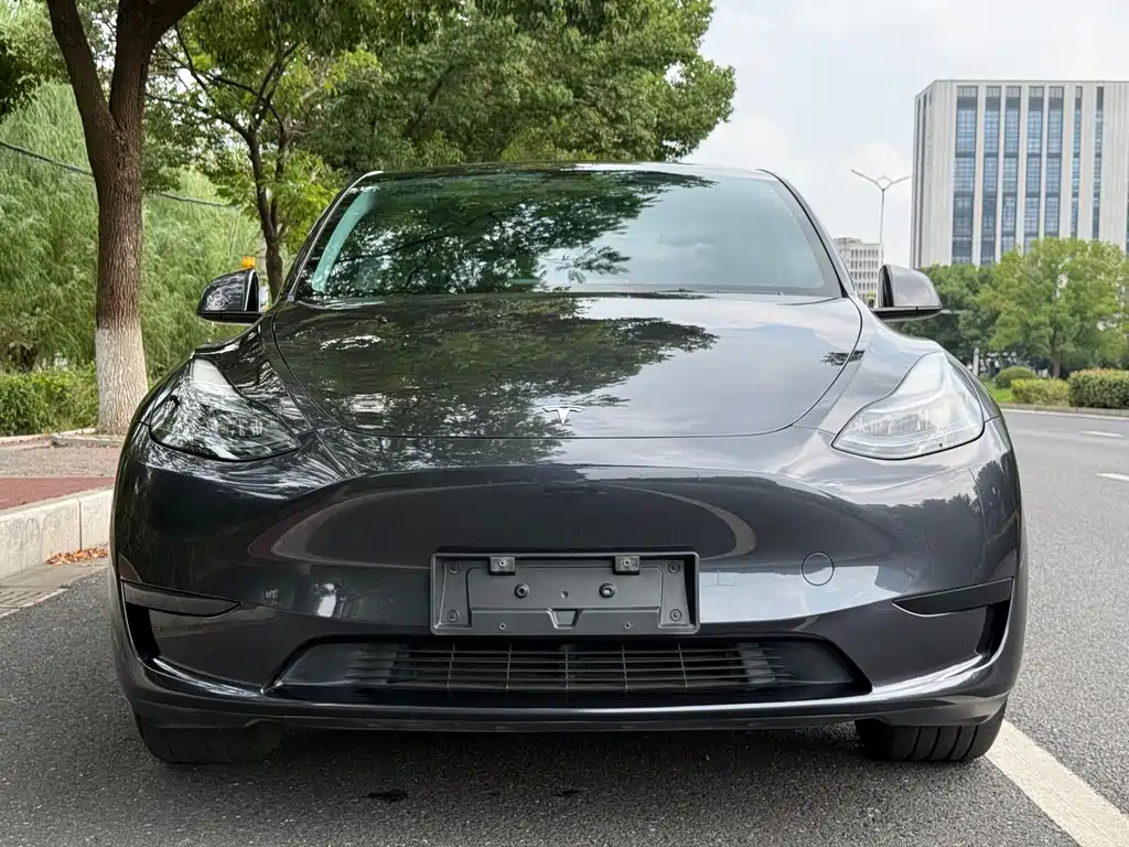 Tesla Model Y — миниатюра 8