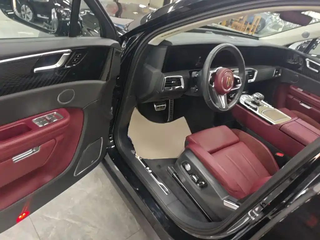 Hongqi Hongqi E-HS9 — миниатюра 16