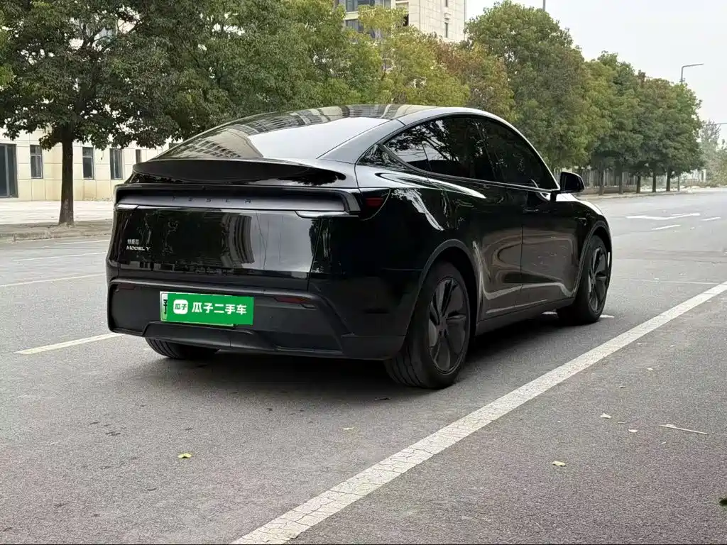 Tesla Model Y — миниатюра 7