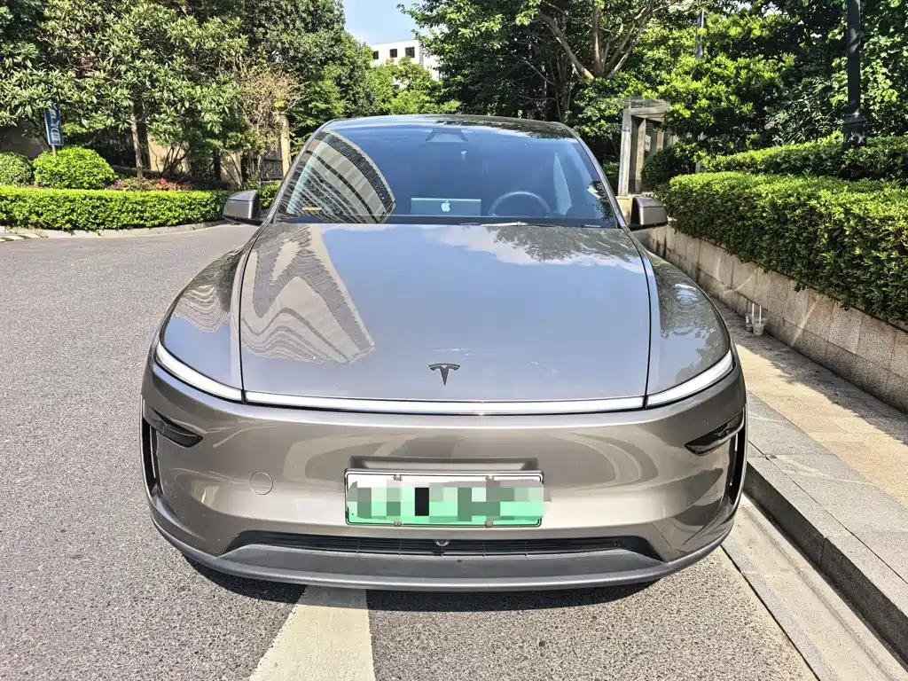 Tesla Model Y — миниатюра 2