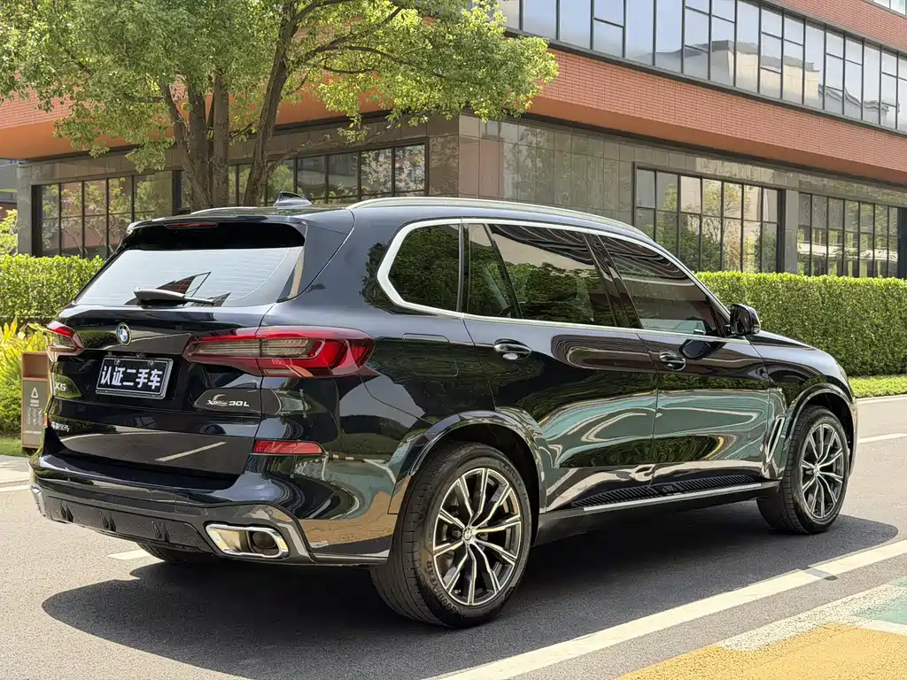 BMW X5 2022 xDrive 30Li M Sport