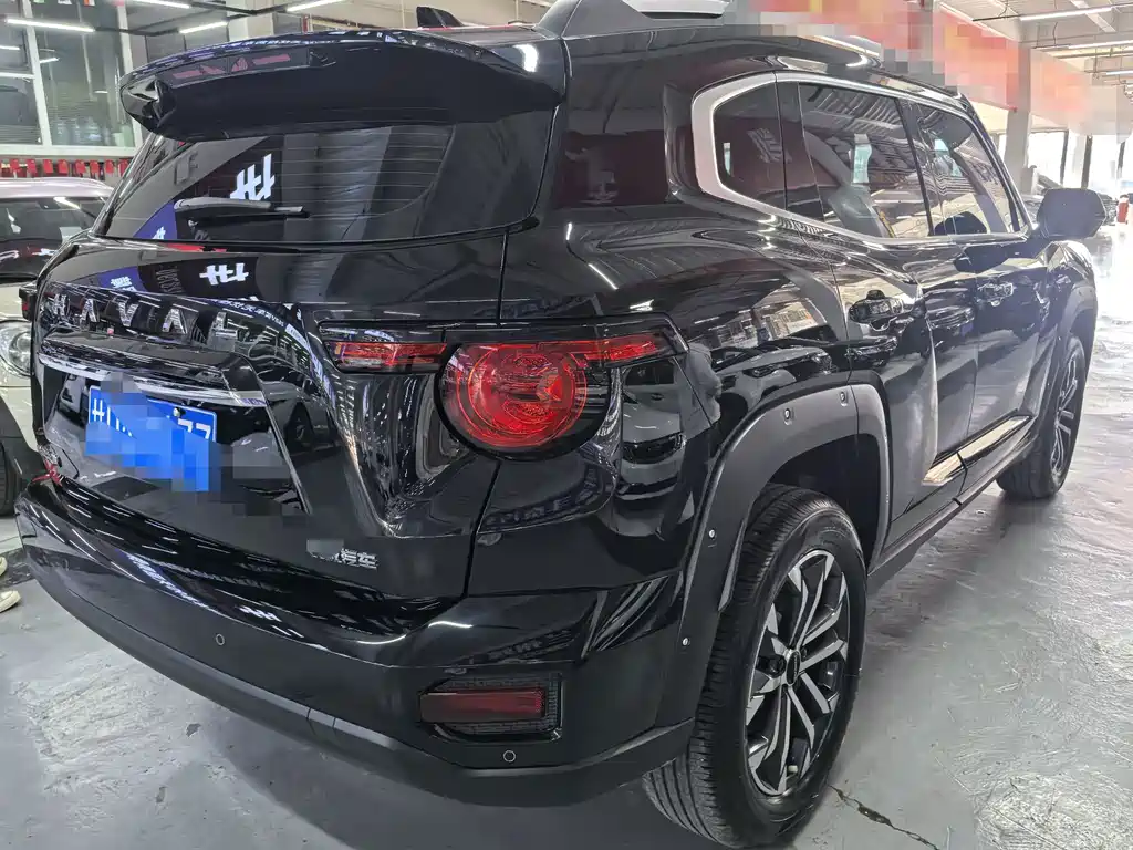 Haval Big Dog PLUS — миниатюра 6