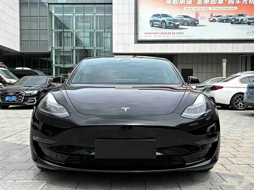 Tesla Model 3 — миниатюра 3