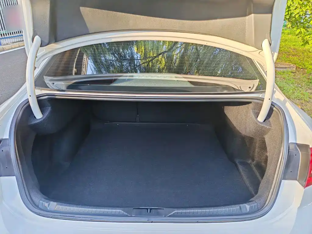 Volkswagen Lamando — миниатюра 9