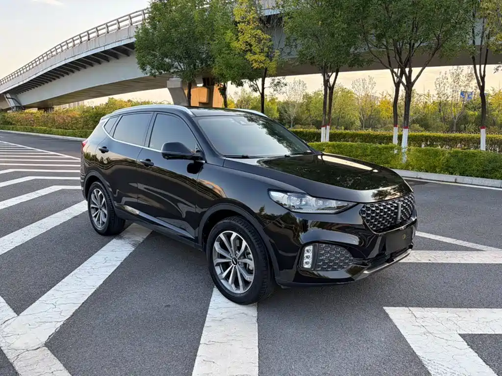 Wey Wey VV6 — миниатюра 4