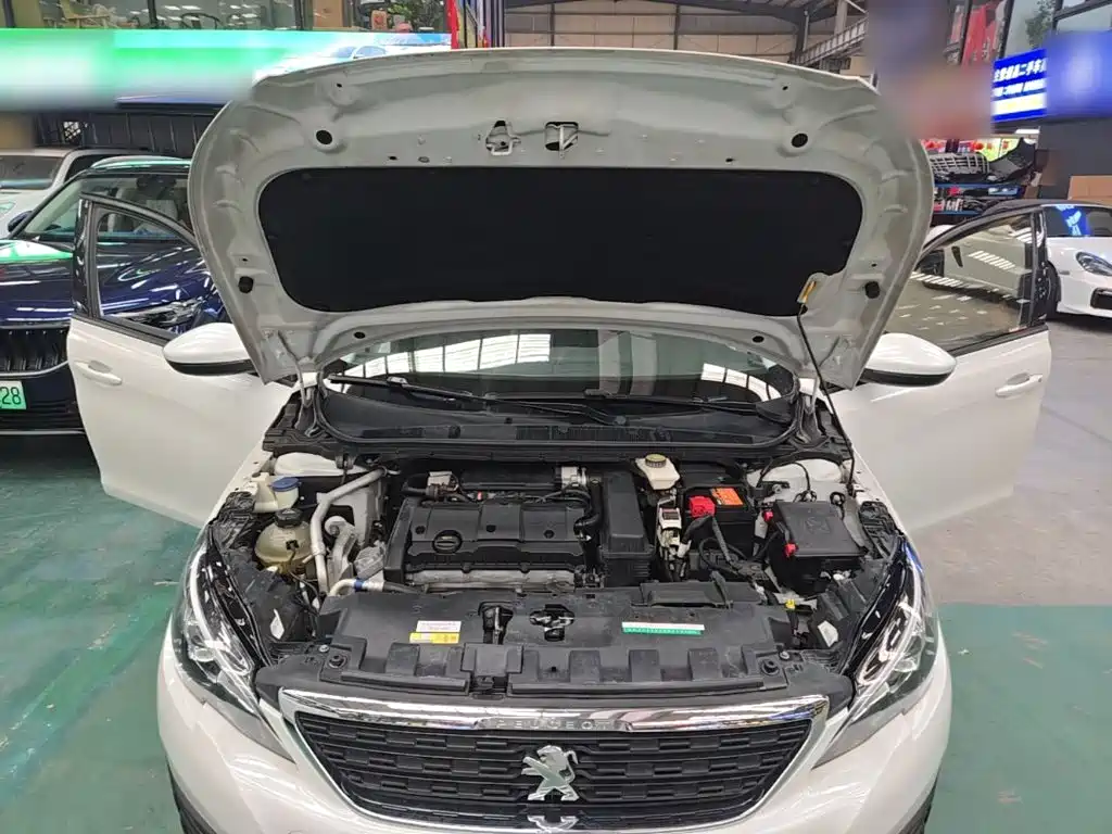 Peugeot 308 — миниатюра 20