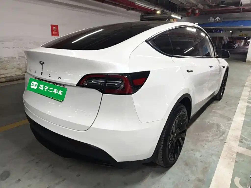 Tesla Model Y — миниатюра 7