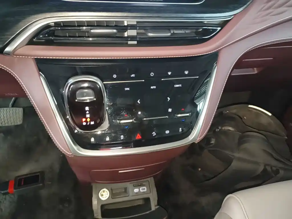 Buick GL8 — миниатюра 14