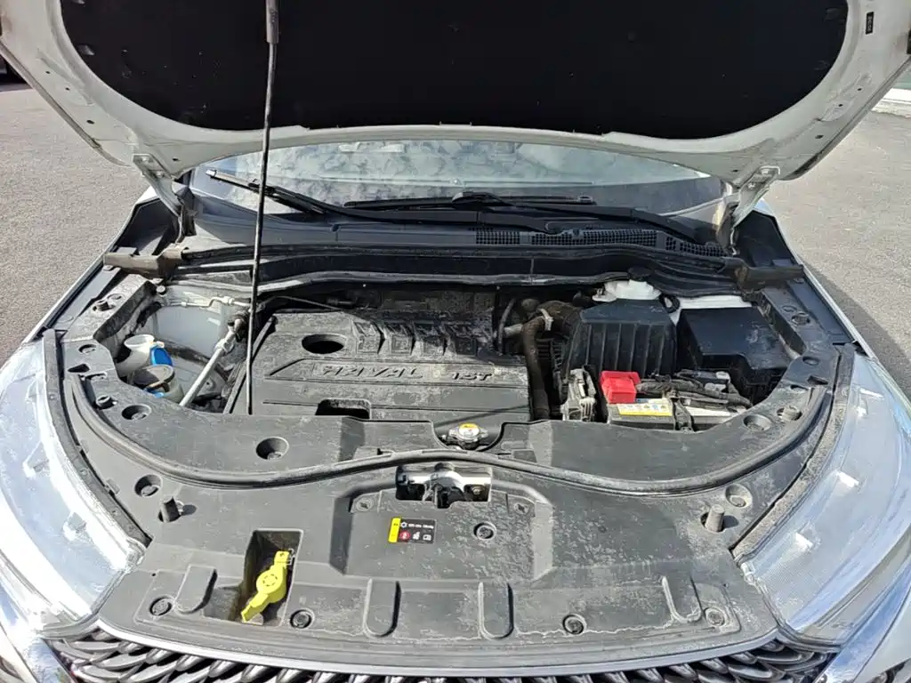 Haval M6 — миниатюра 20