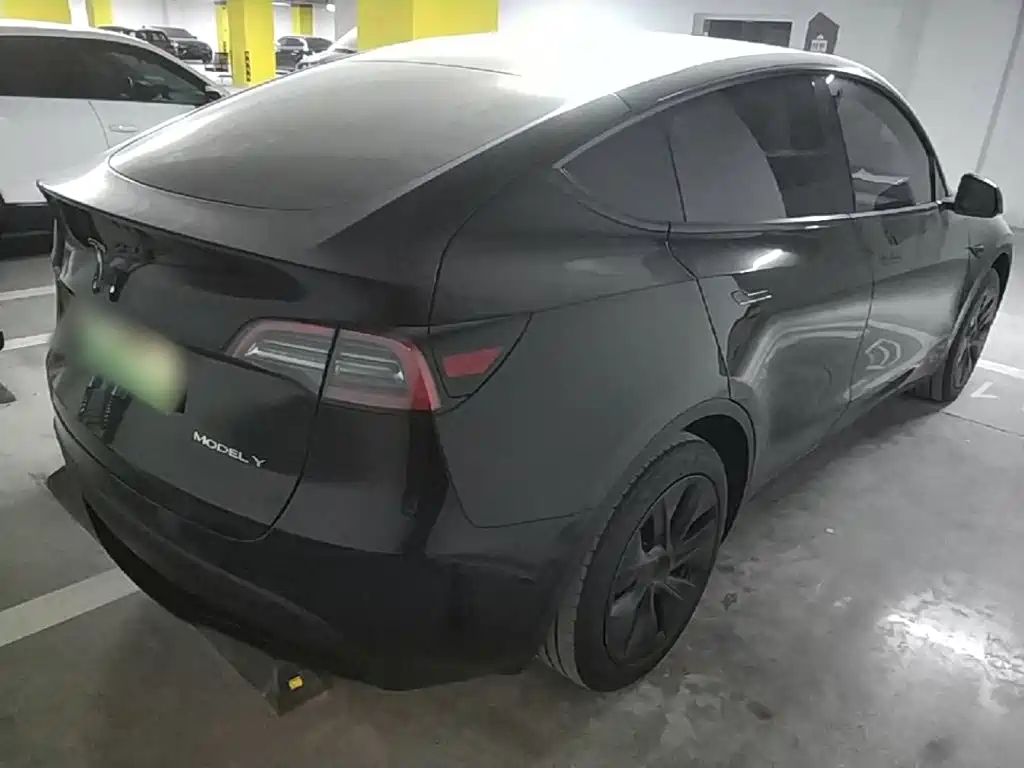 Tesla Model Y — миниатюра 7