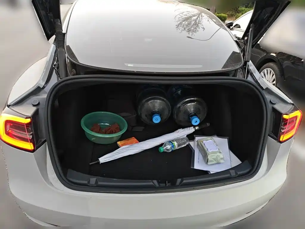Tesla Model 3 — миниатюра 15