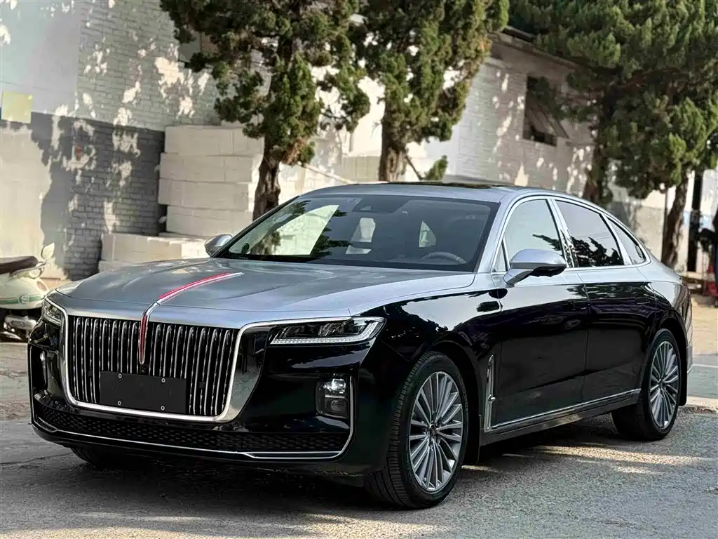Hongqi Hongqi H9 2020